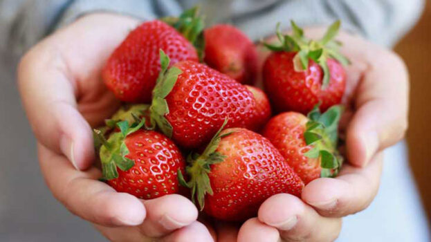 how many calories are in strawberries